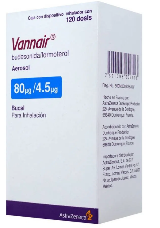 Vannair 80/4.5 Mcg Aerosol 120 Dosis